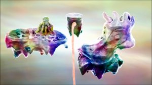 maxresdefault (1).jpg