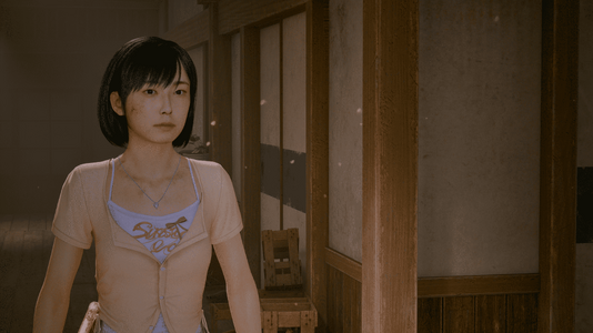 SHf-Win64-Shipping 2025-10-25 13-00-24.png