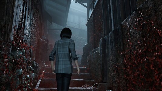 festival_pic (5).jpg