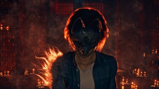 festival_fox (2).jpeg