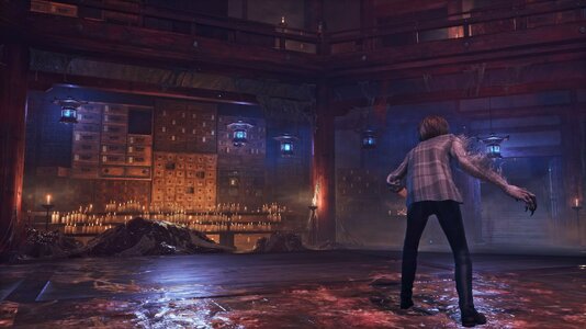 festival_fox (1).jpeg