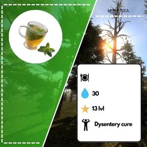 mintTea.jpg
