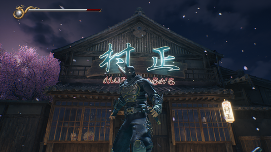 NINJA GAIDEN 2 Black Screenshot 2026.01.16 - 03.39.40.22.png