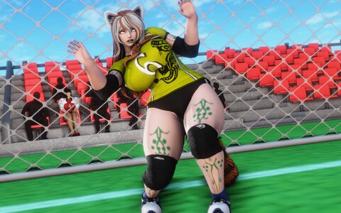SOCCER OVERHAUL 2.JPG