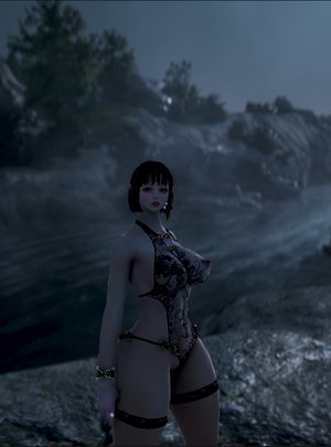 bdo2.png