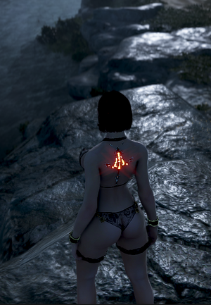 bdo3.png