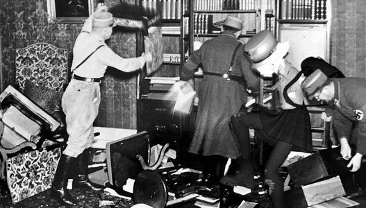 BrownShirts-books.jpeg