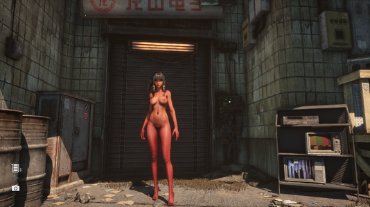 EVE_Naked_Armor_Brown_1.png