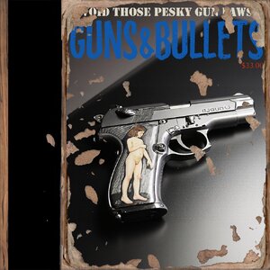 GunsAndBullets5_d.jpg