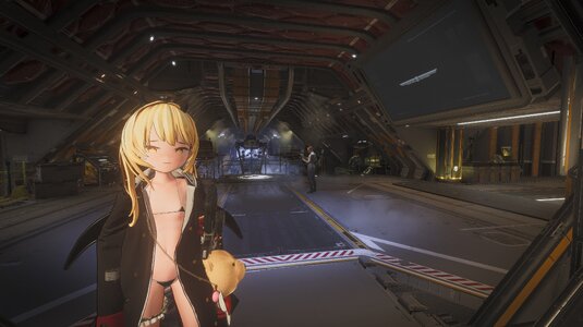 Ibuki_SDR_02.jpg