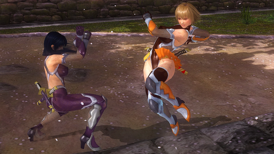 Taimanin 04.png
