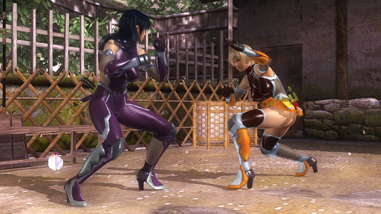 Taimanin 02.png