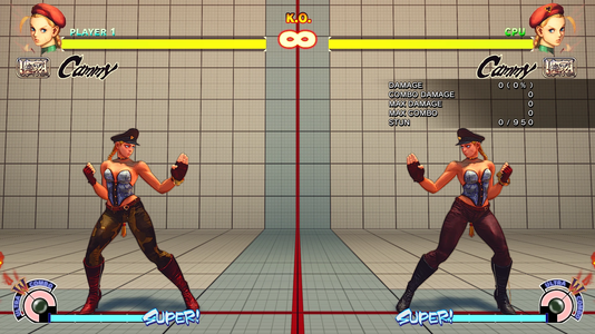 Cammy 03.png