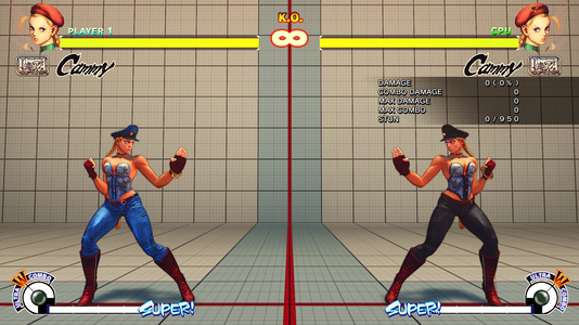 Cammy 02.png