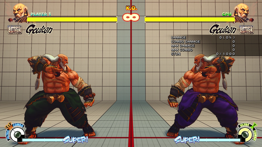 Gouken 02.png