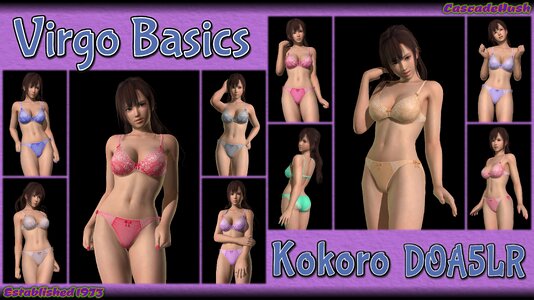 Kokoro Virgo Basics.jpg