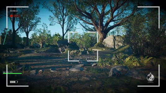 media-kit-viewfinder-forest.jpg