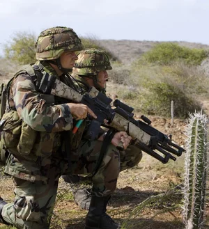 The Colt LMG in Dutch service 🇳🇱The Diemaco C7 LSW, Designated the LOAW in Dutch service (Lic...webp