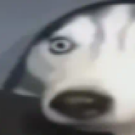 MaxAlva