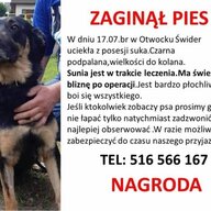 basiurka21