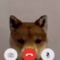 Bobinaa