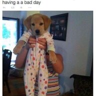 poosp