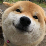 mamagorafobie