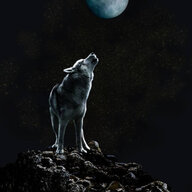 TheLoneWolf