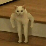 jeffmyfriend