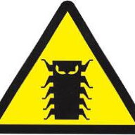 bug1999