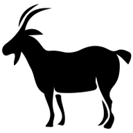 DoktorDestro