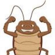 cucaracha