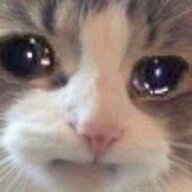 dan369