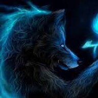 bluerose56