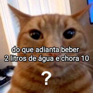 walmartr1