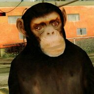 ayhanblackflag12