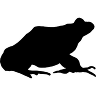 nintendojii
