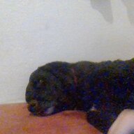 werto76