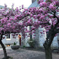 xiaoyuwei