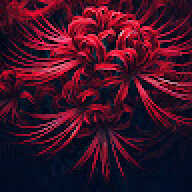 Kaleidoku