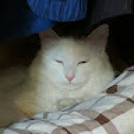 vonsen