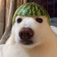 slzll
