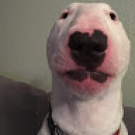 Dongyko