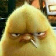 dongmo