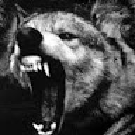 vvolf92