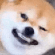pablo6651