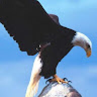 Daronaro