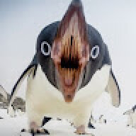 NickDY