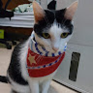 MaoMOOE