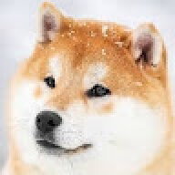 MellowShiba